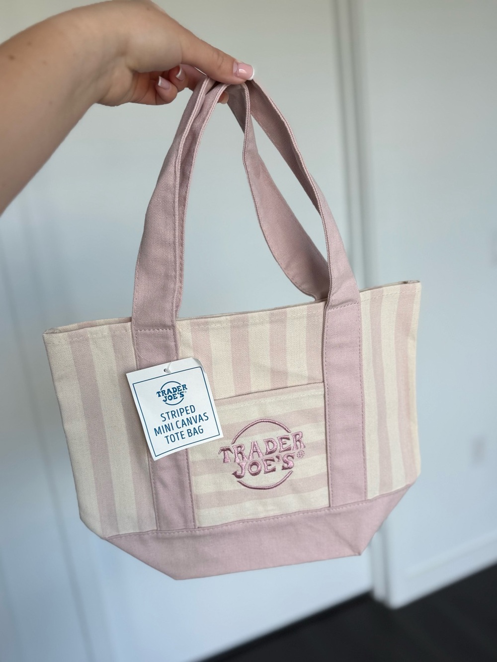 NEW Trader Joe’s Striped Mini Canvas Tote Bag